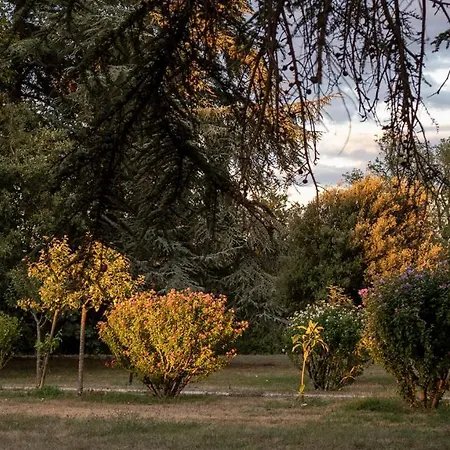 Chateau Marteret Country house Vic-Fezensac